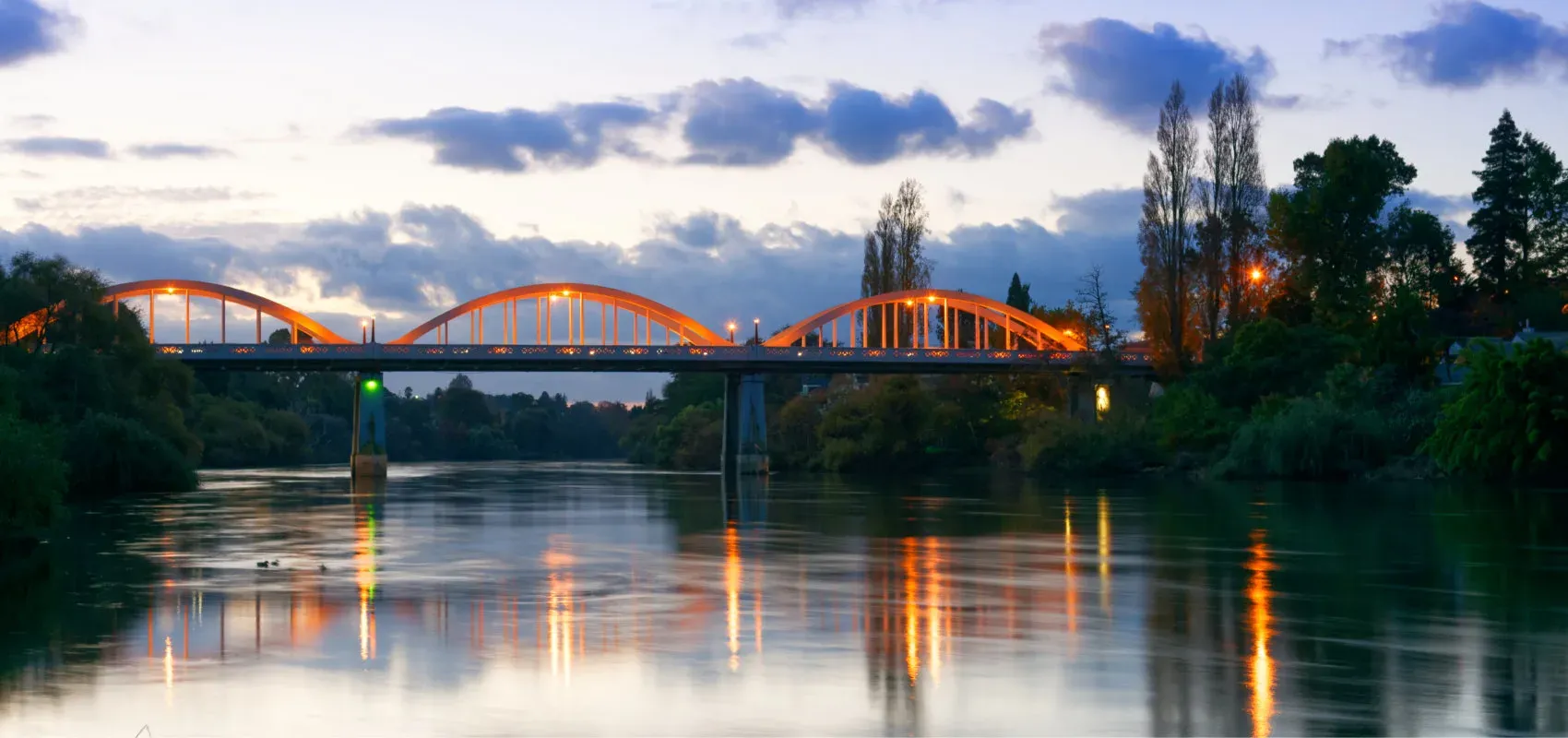 Waikato and Hamilton - Banner