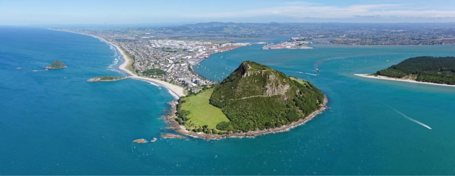Bay of Plenty Rental Cabins